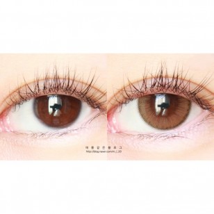 Holoris Ginger Brown(日拋)